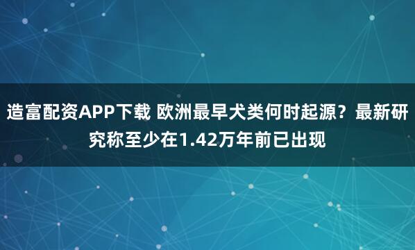 造富配资APP下载 欧洲最早犬类何时起源?最新研究称至少在1.42万年前已出现