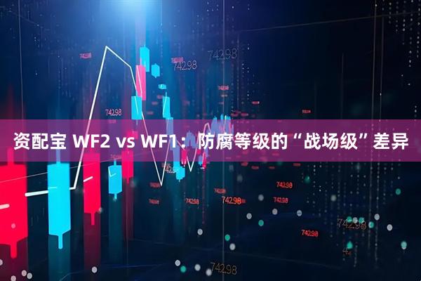 资配宝 WF2 vs WF1：防腐等级的“战场级”差异