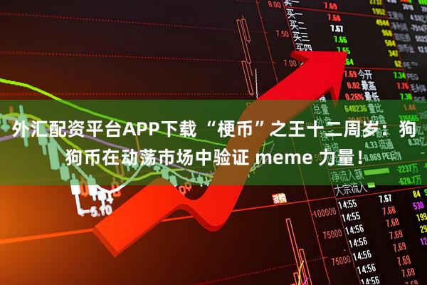 外汇配资平台APP下载 “梗币”之王十二周岁:狗狗币在动荡市场中验证 meme 力量!